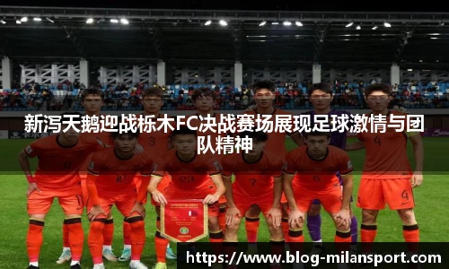 新泻天鹅迎战栎木FC决战赛场展现足球激情与团队精神